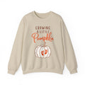 Growing a Little Pumpkin Maternity Sweatshirt